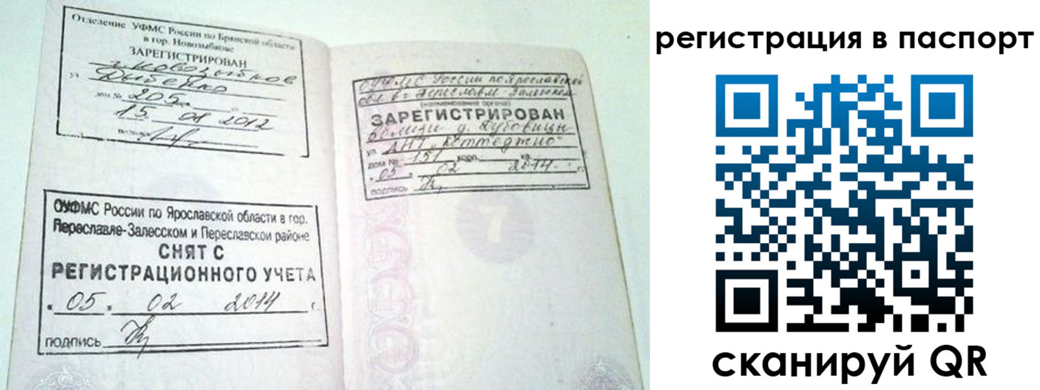 прописка в квартире в Острове